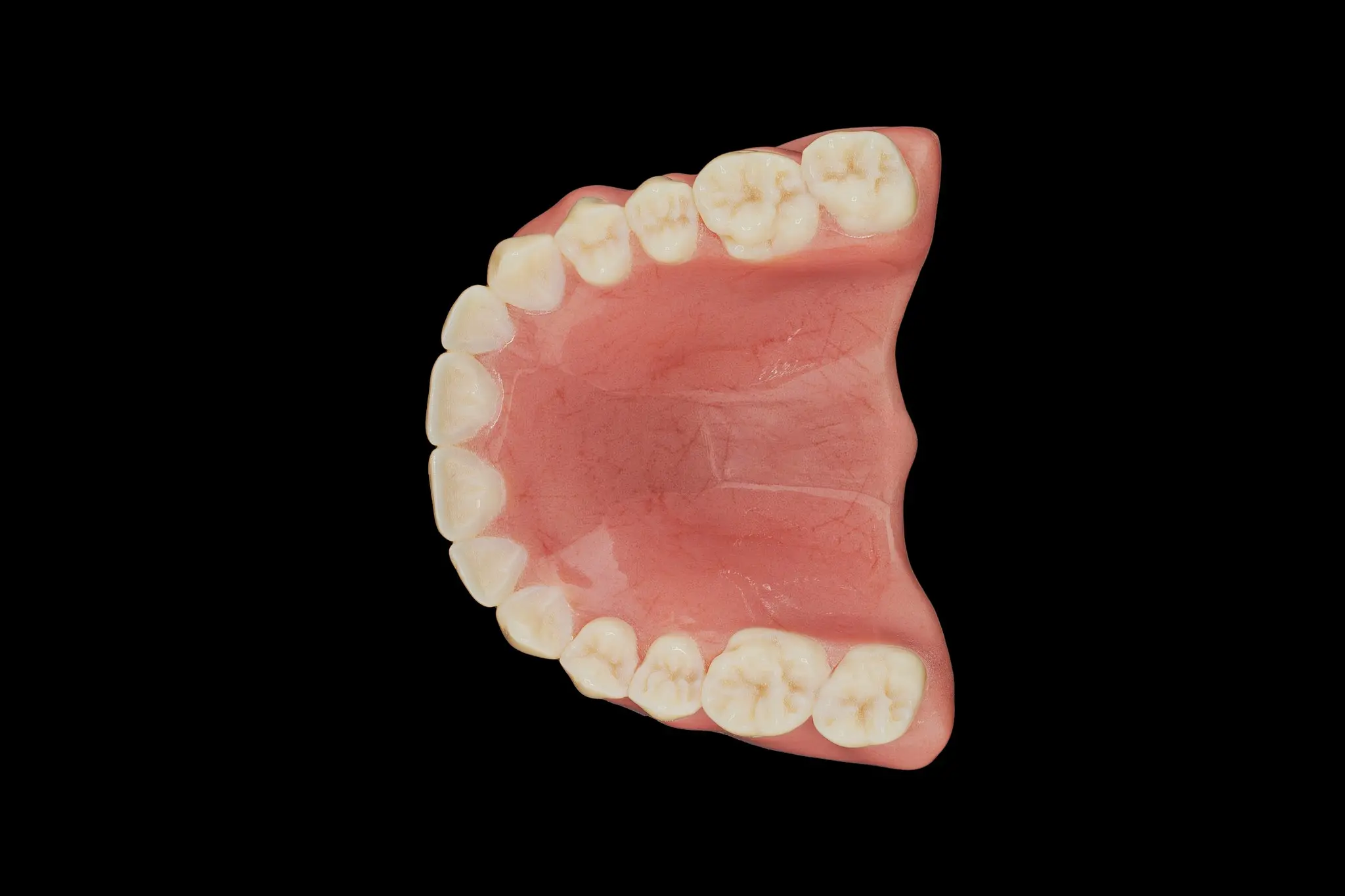 3d 5